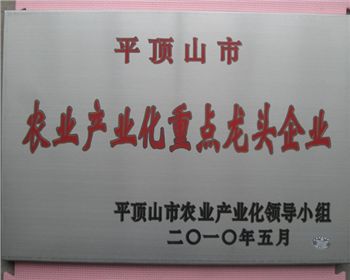 平頂山農(nóng)業(yè)產(chǎn)業(yè)化企業(yè)